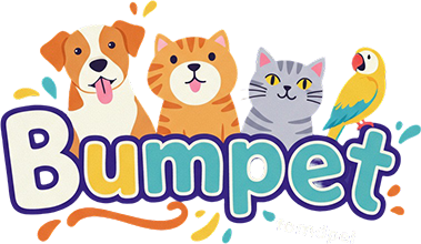 Bampet